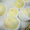 岡山の白い桃「清水白桃」-サムネイル