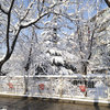 【From北京⑥】北京の雪景色-サムネイル
