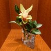 【LHVの風景 Vol-48】オフィスにお花お届け人-サムネイル